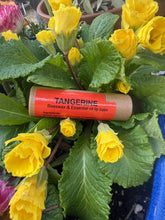 Load image into Gallery viewer, LIP BALMS (NEW Paperboard containers- double the old size)